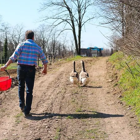 Cascina Le Volpi Campsite Solferino