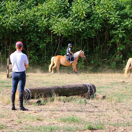 Campsite Cascina Le Volpi